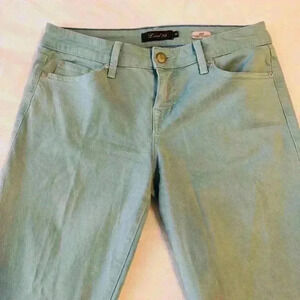 Anthropologie Level 99 womens 27 Lily Skinny Straight mint green pants comfort